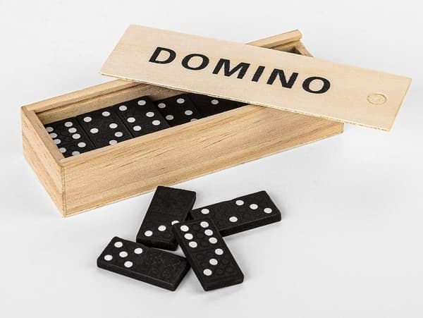 Puiset dominot