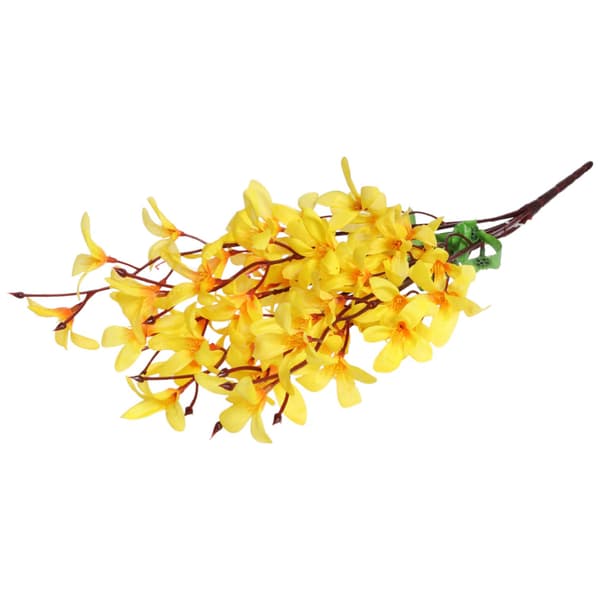 FORSYTCIA-KIMPPU 45 CM