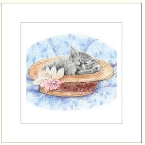 Kort 16x16cm + kuvert Tegnet kat