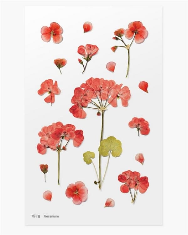 Dekorative blomsterklistermærker - Geranium