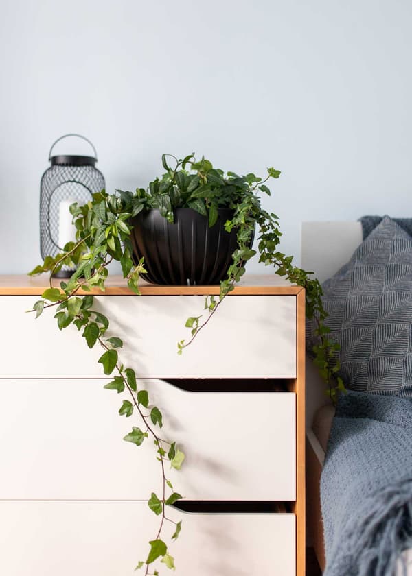 Strippet ECO Recycling urtepotte