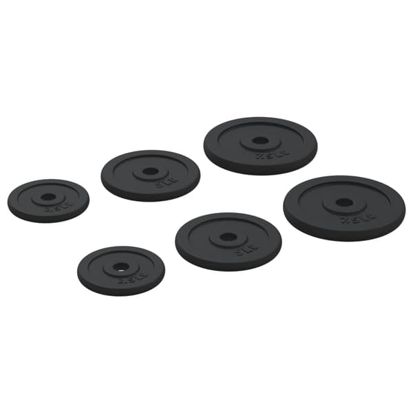 vidaXL støbejernsvægte, 6 stk., 30 kg