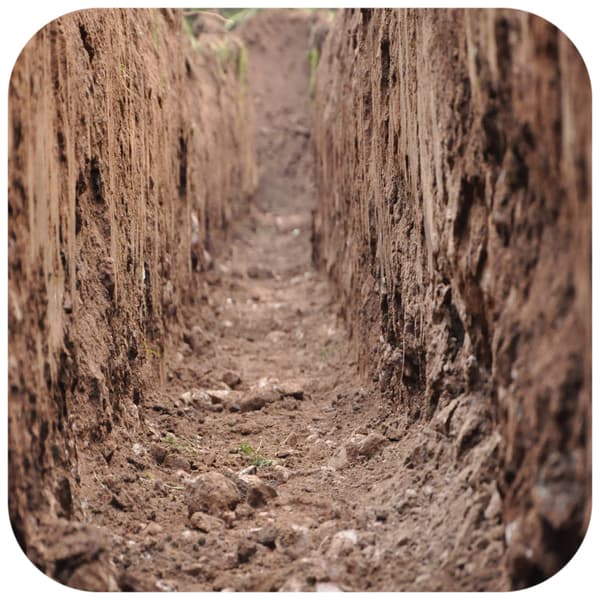 Terrario Monument Mud 1kg - saviseos