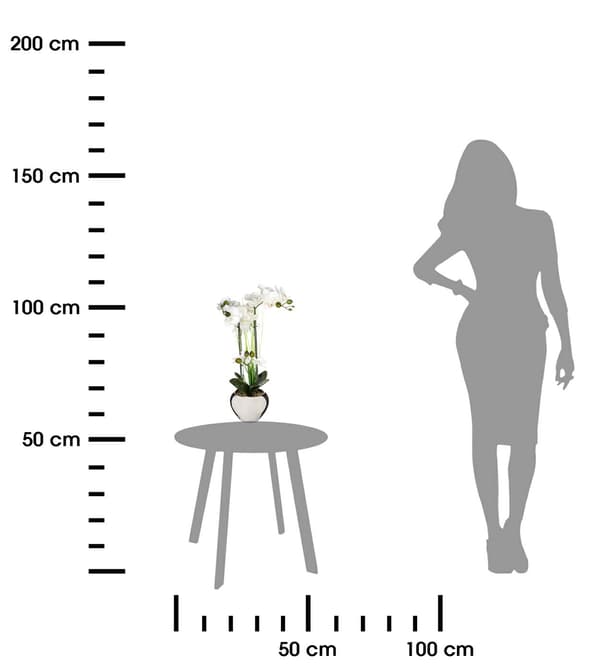 Orkidea hopeisessa ruukussa 53 cm