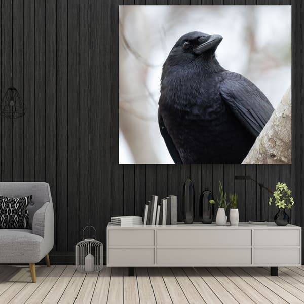 Lærredstryk Dyr Krage 90x90 cm