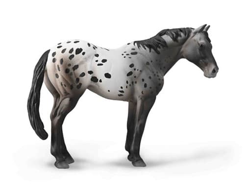 Collecta. Siniroo Appalossa