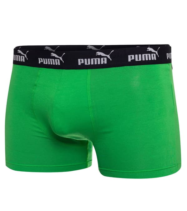 Puma Miesten Elements Basic Boxer 2-Pack Tummanharmaa/Meleerattu/Vihreä [701232894 004] koko XL