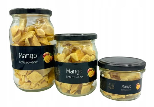 Frysetørret mango sund lækker snack 25g