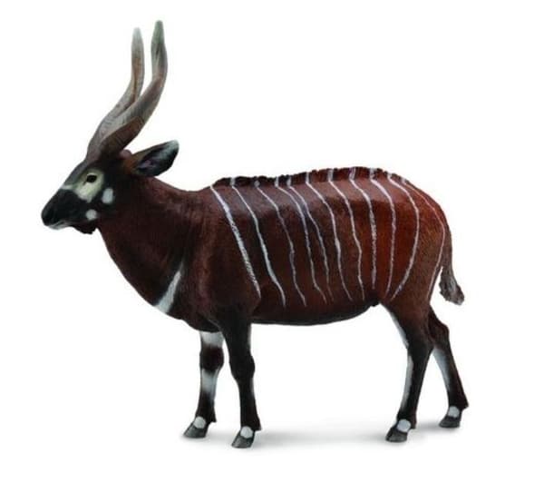 Bongo-antilope