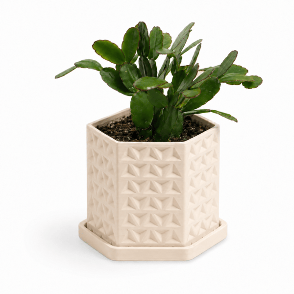 Beige geometrisk 3D-urtepotte med underkop og dræn, moderne