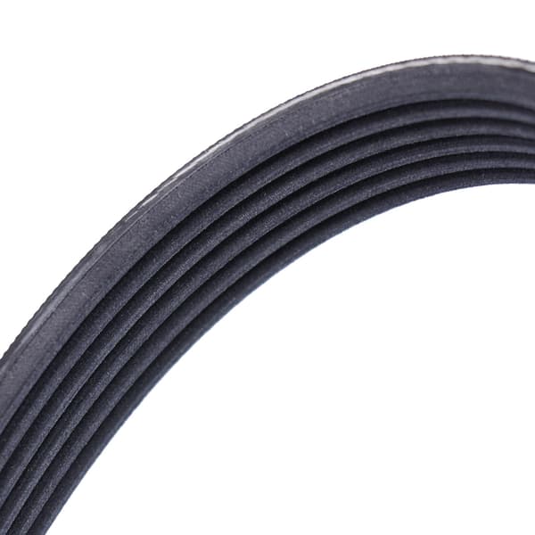 CONTITECH 6 PK 1538 moniurahihna