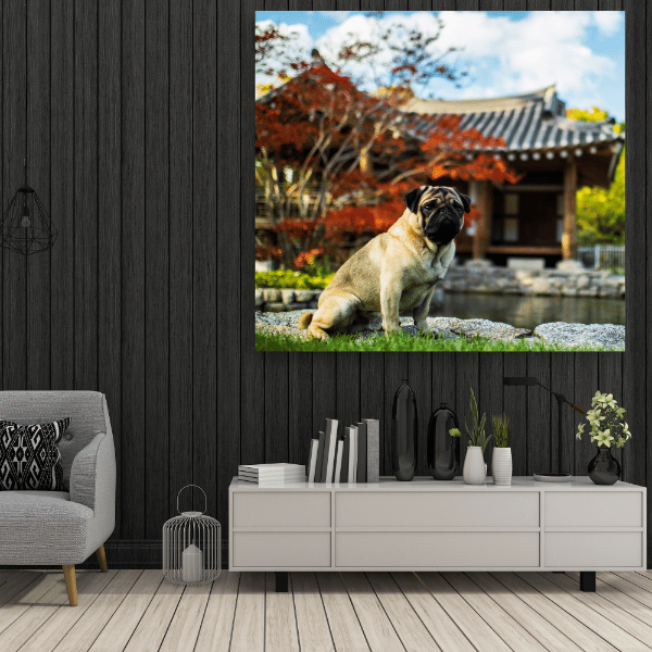 Lærredstryk Dyr Mops 80x80 cm