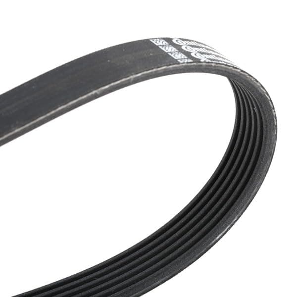 CONTITECH 6 PK 1564 multiribbet rem