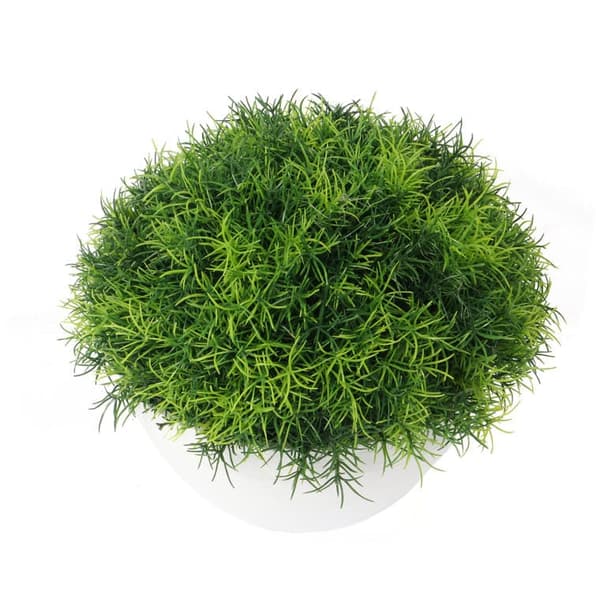 Klumpgräs i vit kruka 25 cm