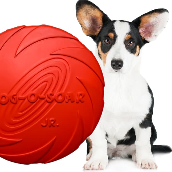 Pet Nova legetøj - gummifrisbee-skive rød 15 cm