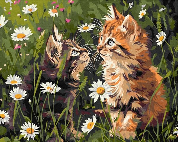 Maleri efter tal - Katte i blomster 40x50cm