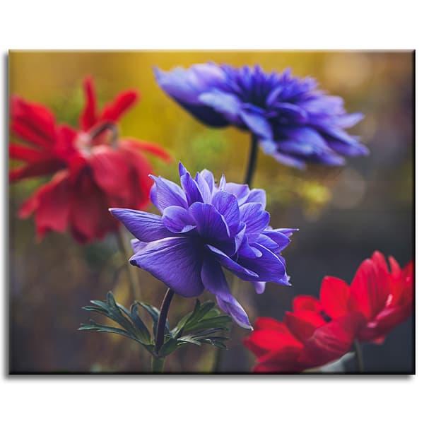 Lærredstryk Botanik Vilde blomster 50x40 cm