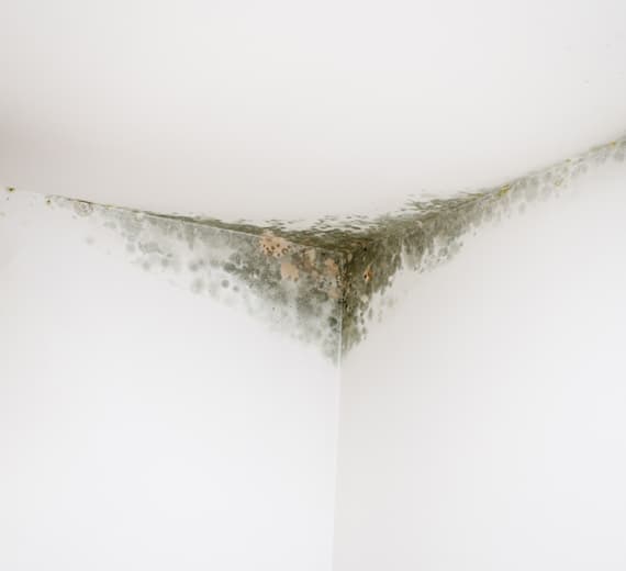 ErgoKratka Lydløs Badeværelsesventilator Satin