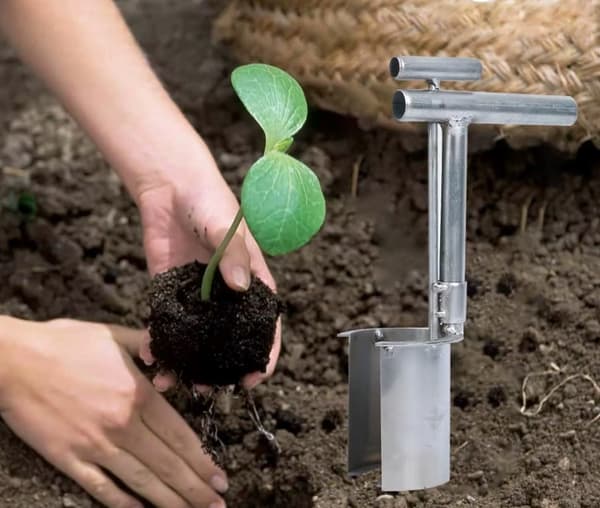 Blomsterløgplanter Plantning af planter Haveværktøj