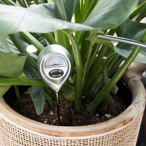 Plantehygrometer