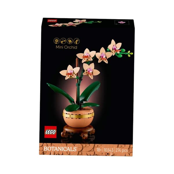 Lego Botanicals 10343. Pieni orkidea