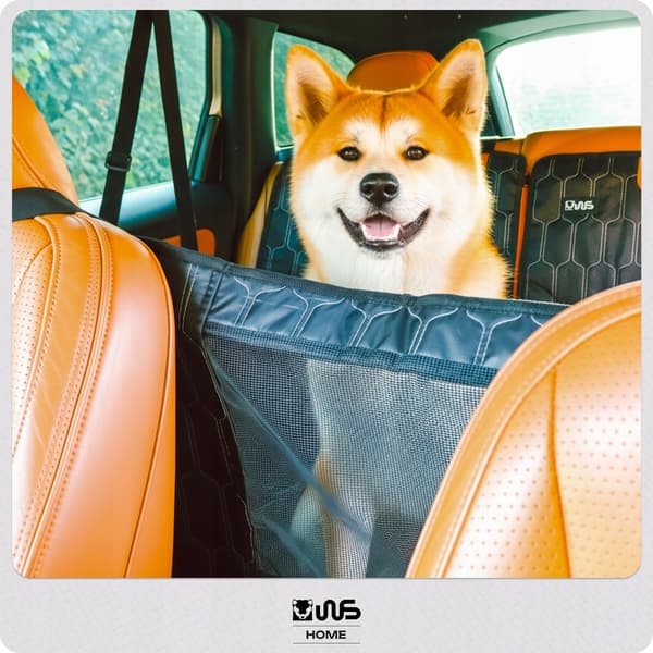 1.6 Silmät Premium 4W1