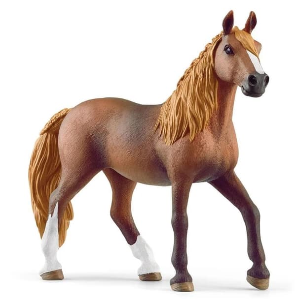 Paso Peruano Mare