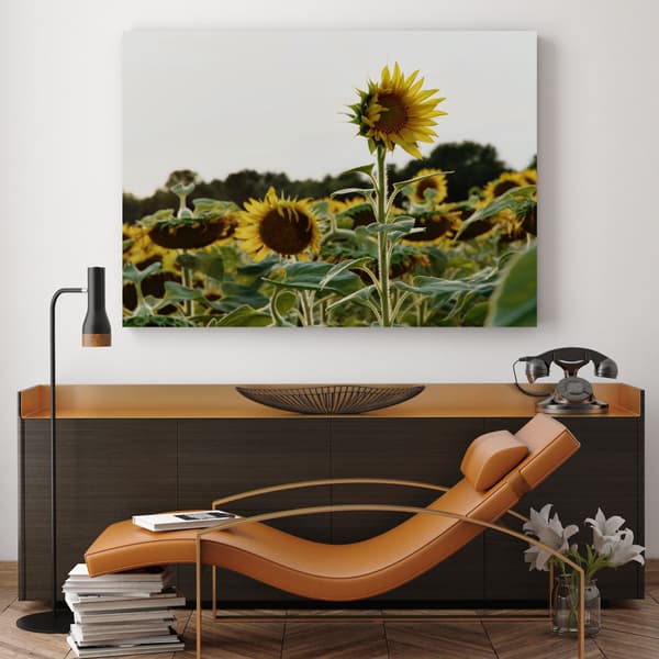 Canvastaulu Botany Auringonkukkapelto 100x60