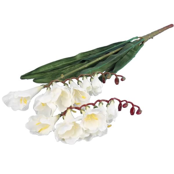 2 freesianoksaa, 54 cm, valkoinen