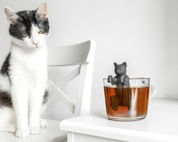 CAT te-infuser
