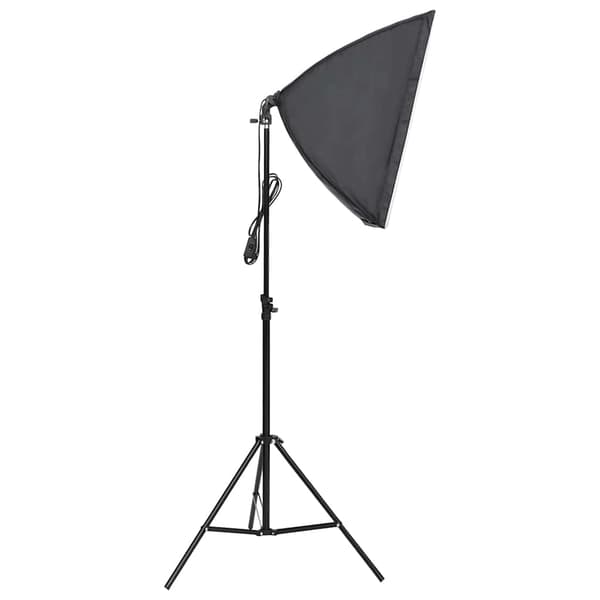 vidaXL Ammattimainen studiolamppu 60x40 cm