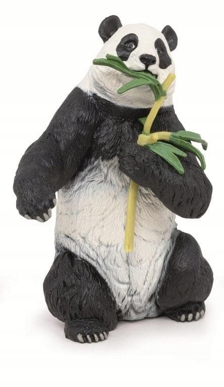 Panda bambun kanssa