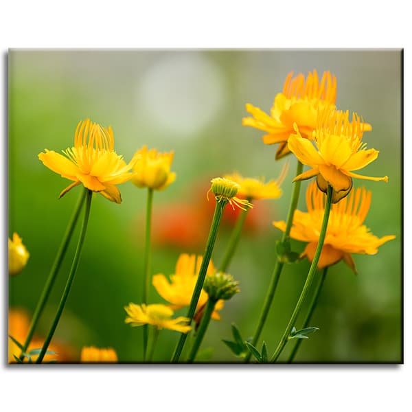 Canvastavla Botanik Gula blommor 50x40 cm