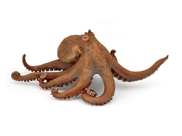 Blæksprutte