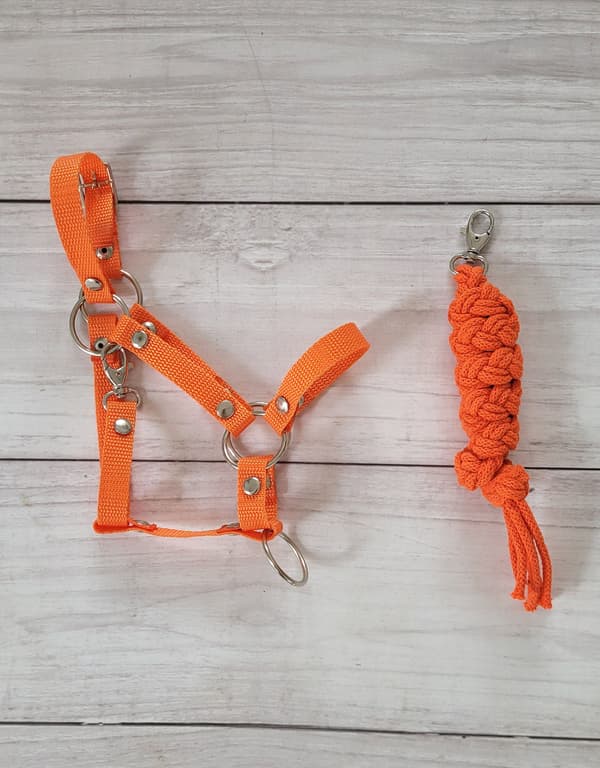 Käpphästset: A3 Grimma + Repkoppel - Orange