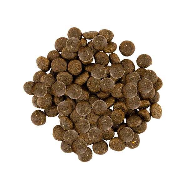 Smakrikt torrfoder för hundar, vuxen kalkon, lamm, liten ras, 1 kg