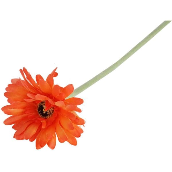 Enkel orange gerberablomma, 55 cm hög - Inredning