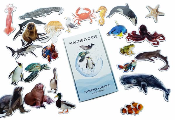 Magneter - flade Jeg lærer om vanddyr