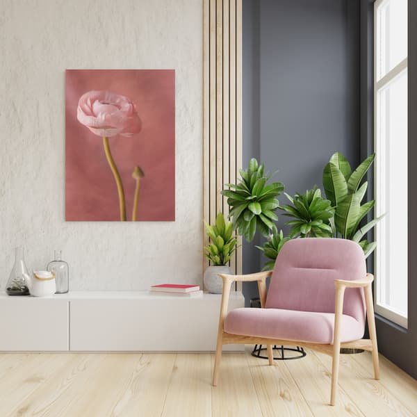 Canvastavla Botanik Rosa pion 80x100 cm