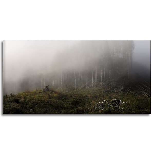 Canvastaulu Luonto Sumu metsässä 120x60 cm