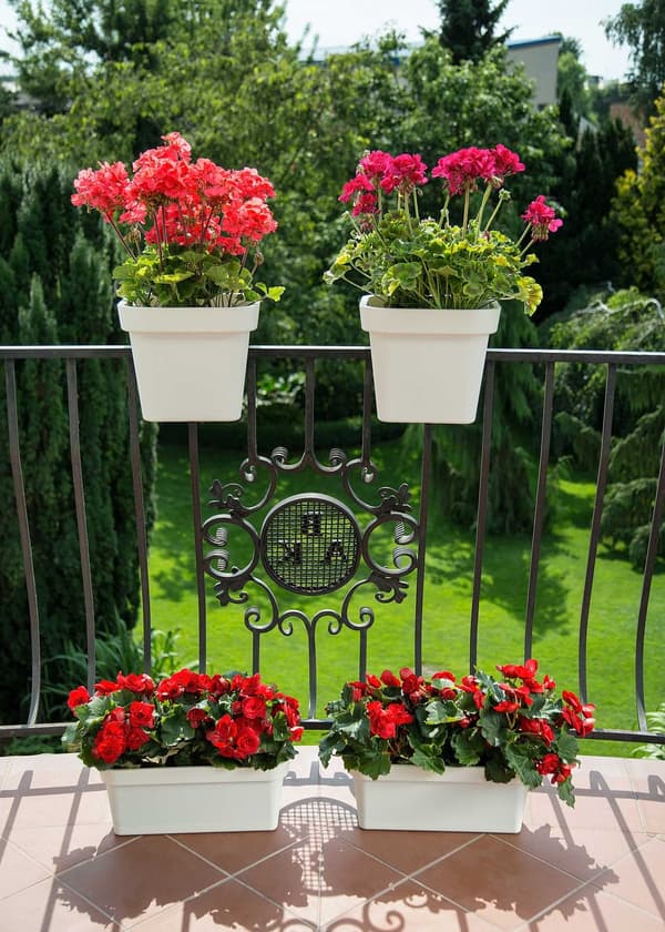 Lys balustrade urtepotte antracit 29 cm