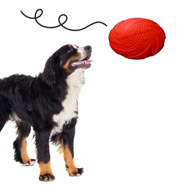 Pet Nova legetøj - gummifrisbee-skive rød 15 cm