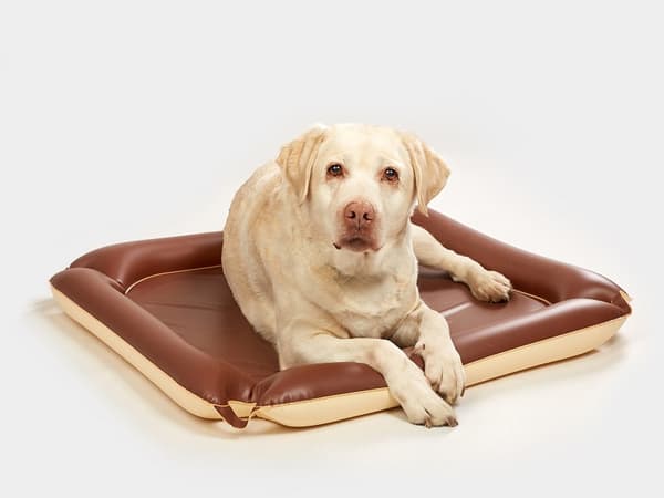 UPPBLÅSBAR HUNDMATTA