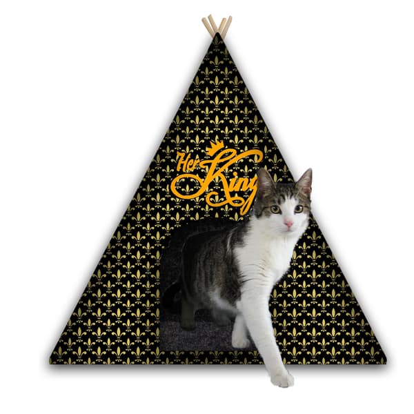 Tipi til hund/kat med hynde HER KING L