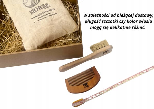 Hobby hästborste set
