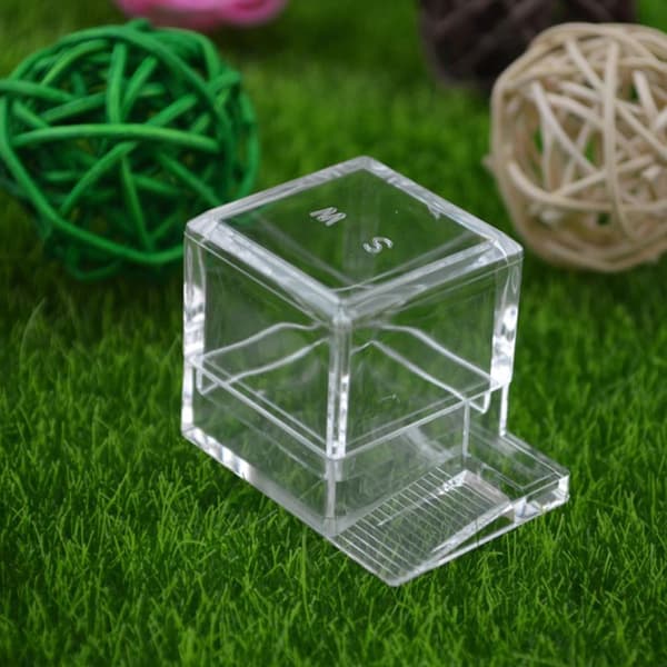 Ant Expert Ant Feeder - muurahaisten syöttölaite