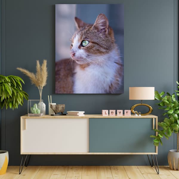 Lærredstryk Dyr Ingefærkat 50x70 cm