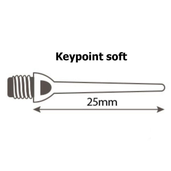 Vinkkejä darts-peliin MASTER Keypoint soft 2BA