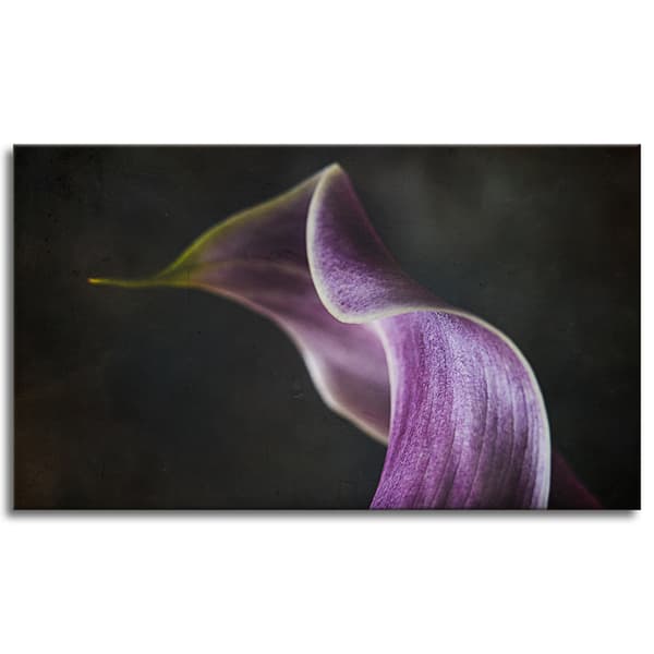 Lærredstryk Blomst lilla kronblad 120x70 cm