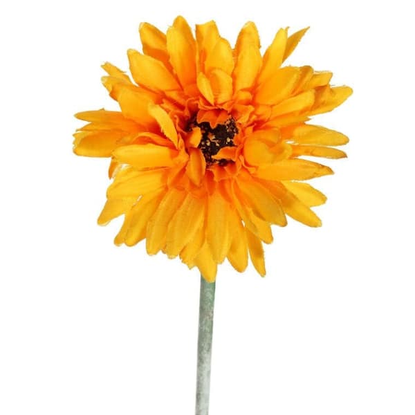 GERBERA ENKELTBLOMST LYS ORANGE